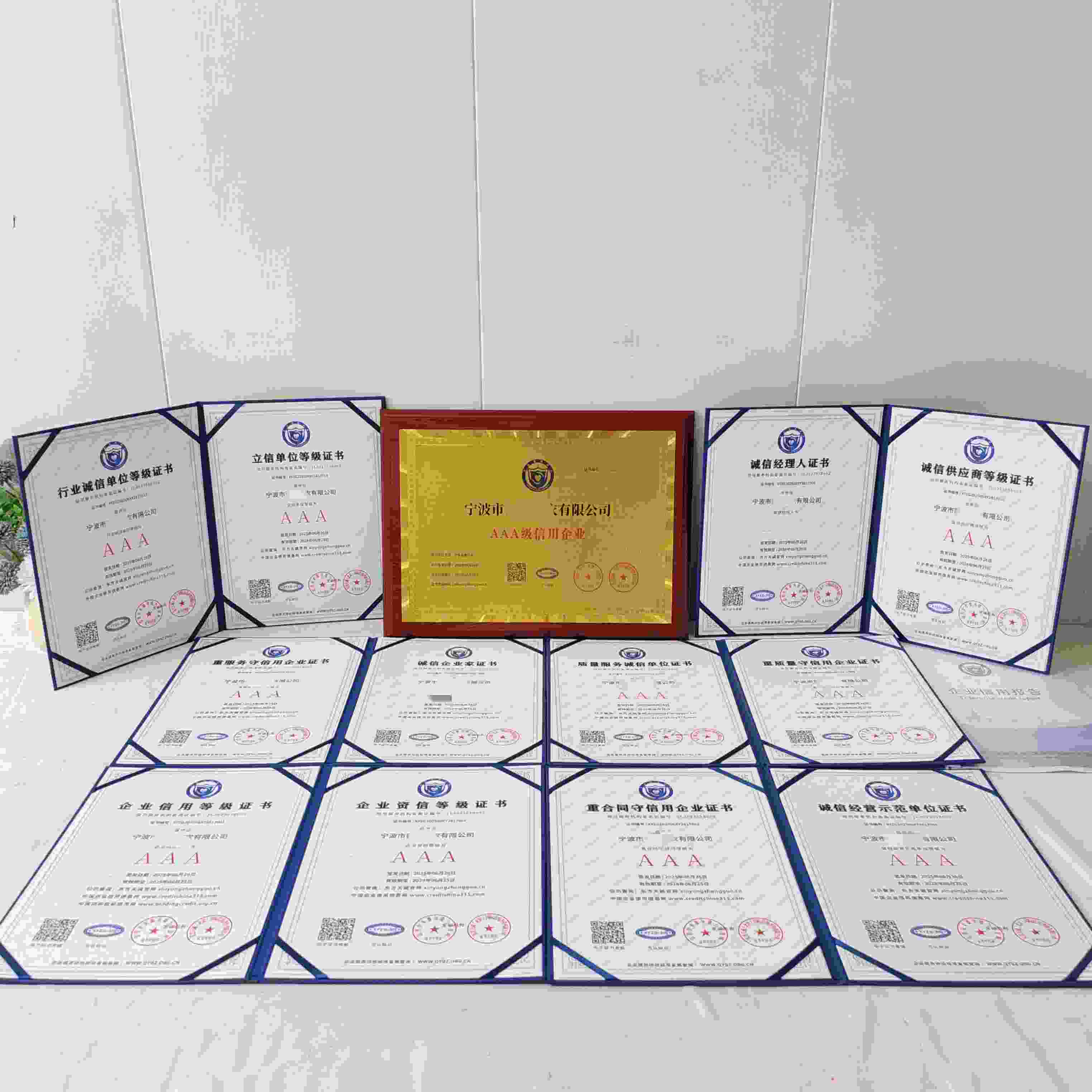 宁波市御风制衣有限公司.jpg