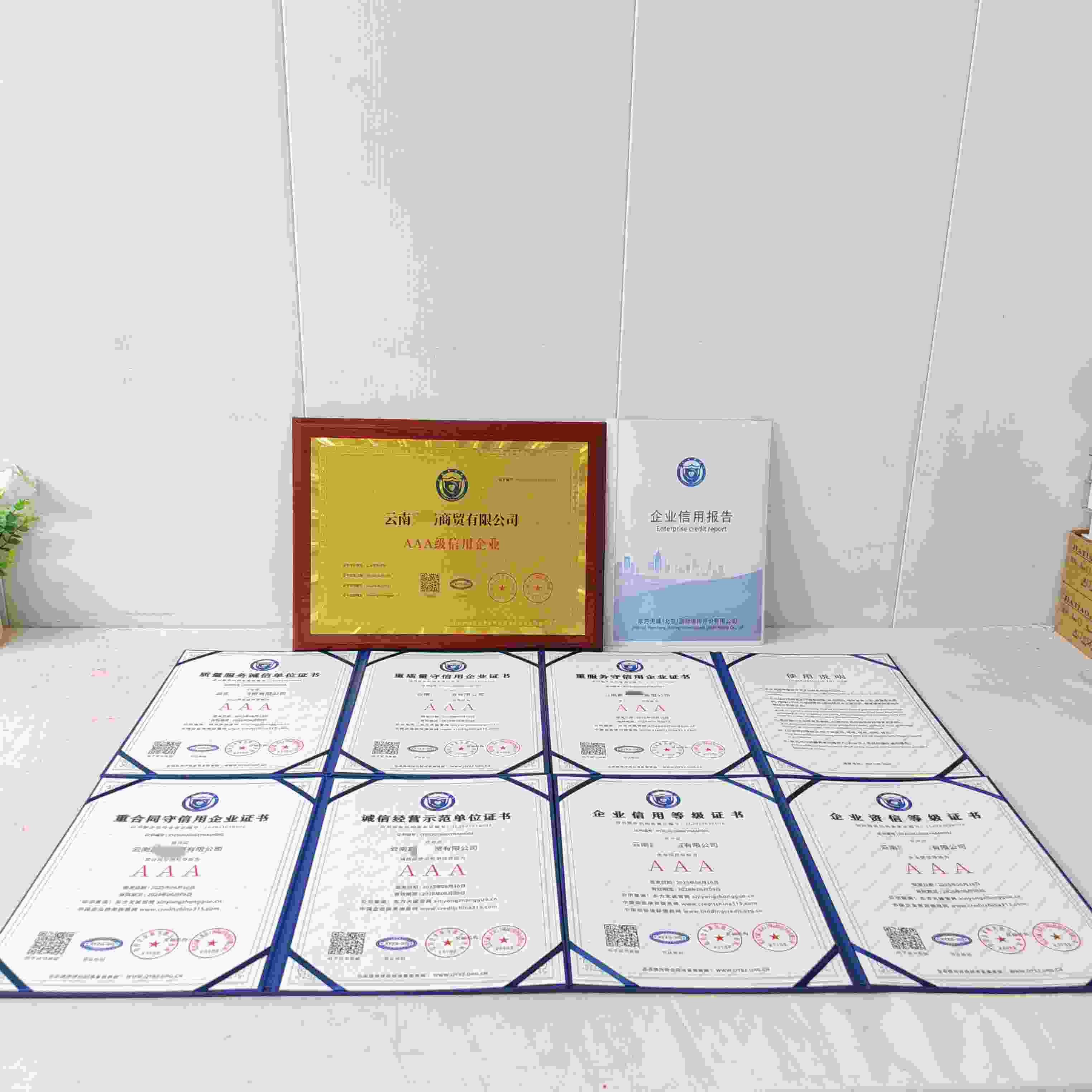 云南嘉旸商贸有限公司.jpg