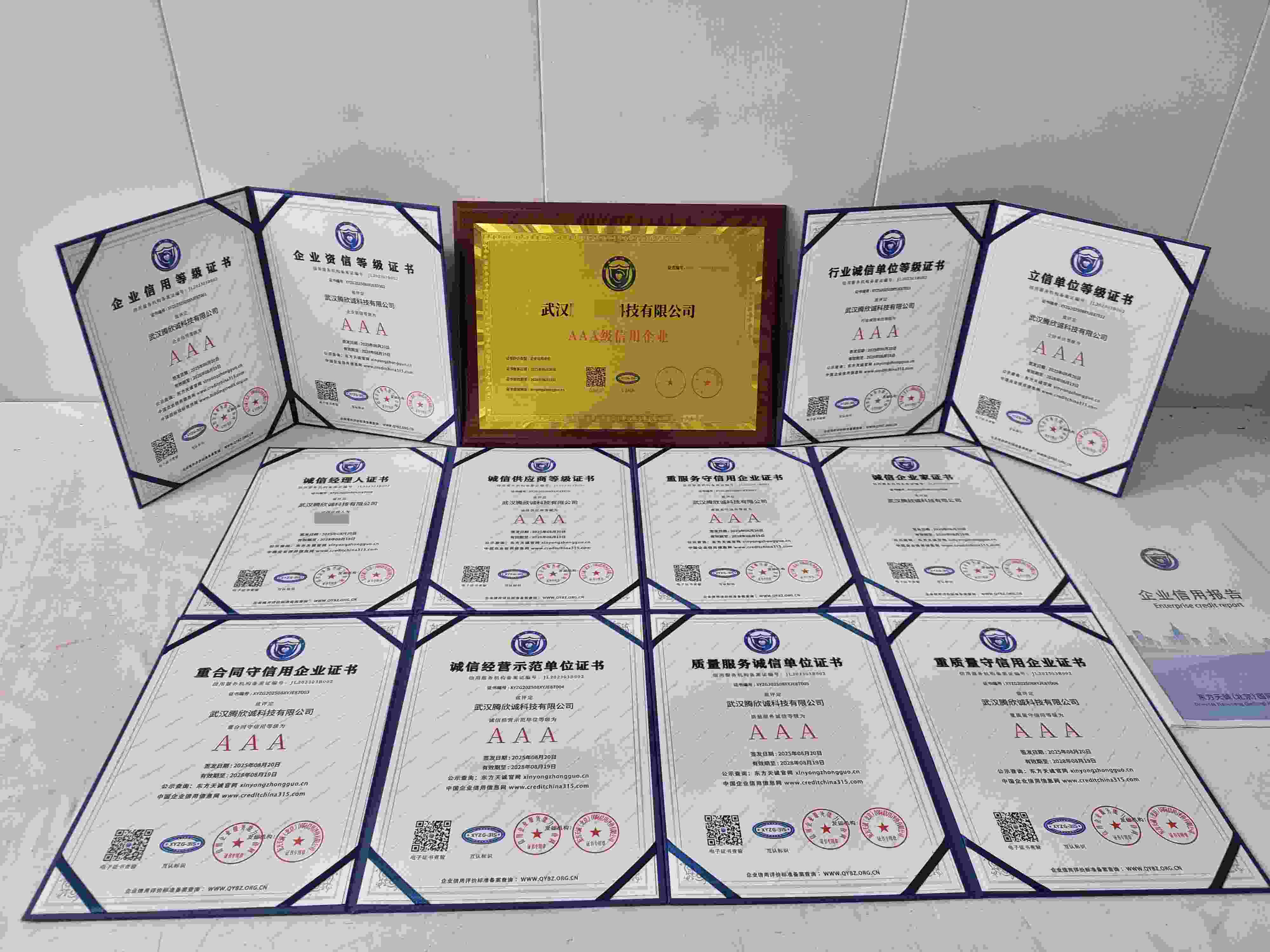 武汉腾欣诚科技有限公司.jpg