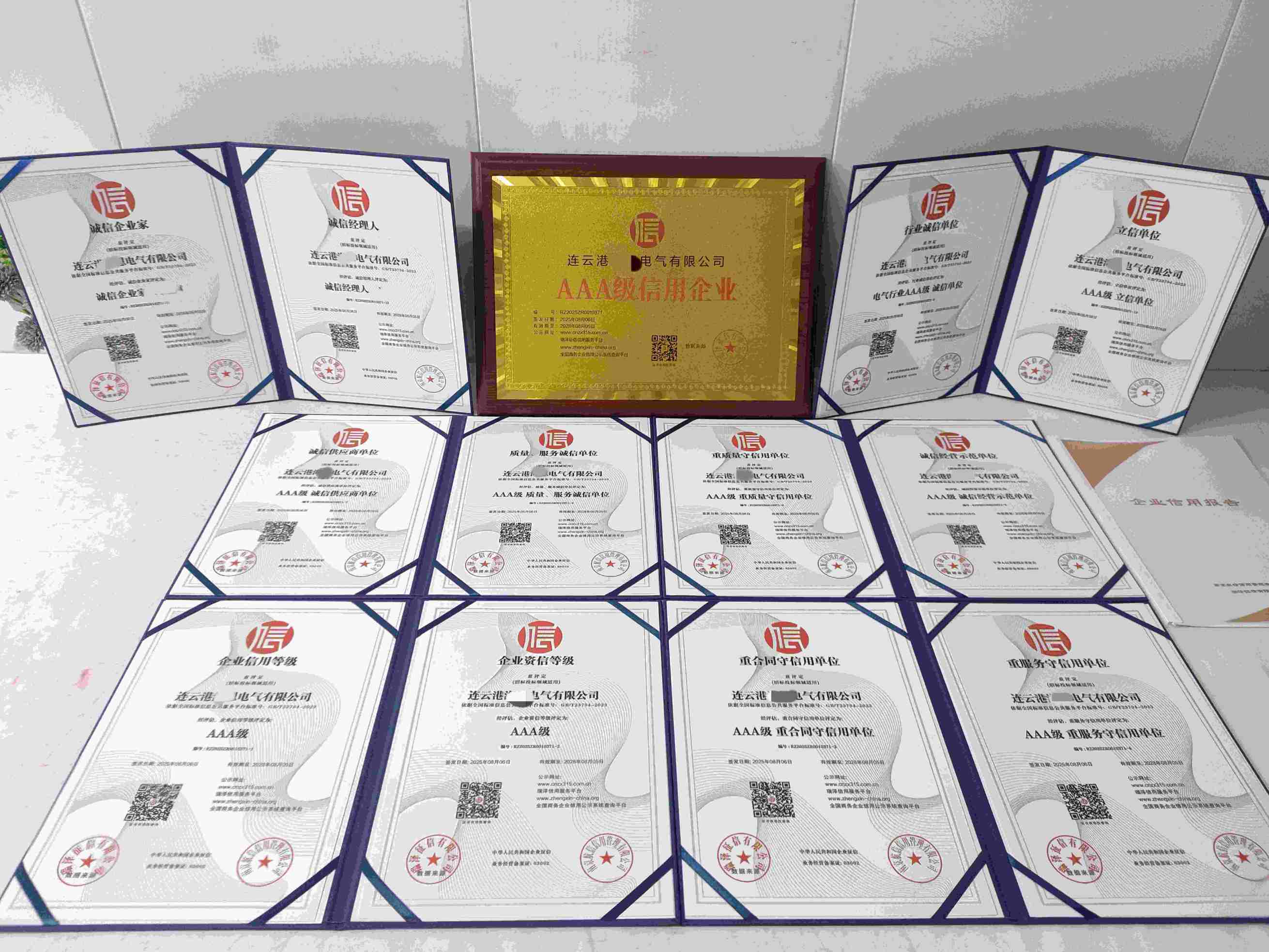 连云港海恩电气有限公司.jpg