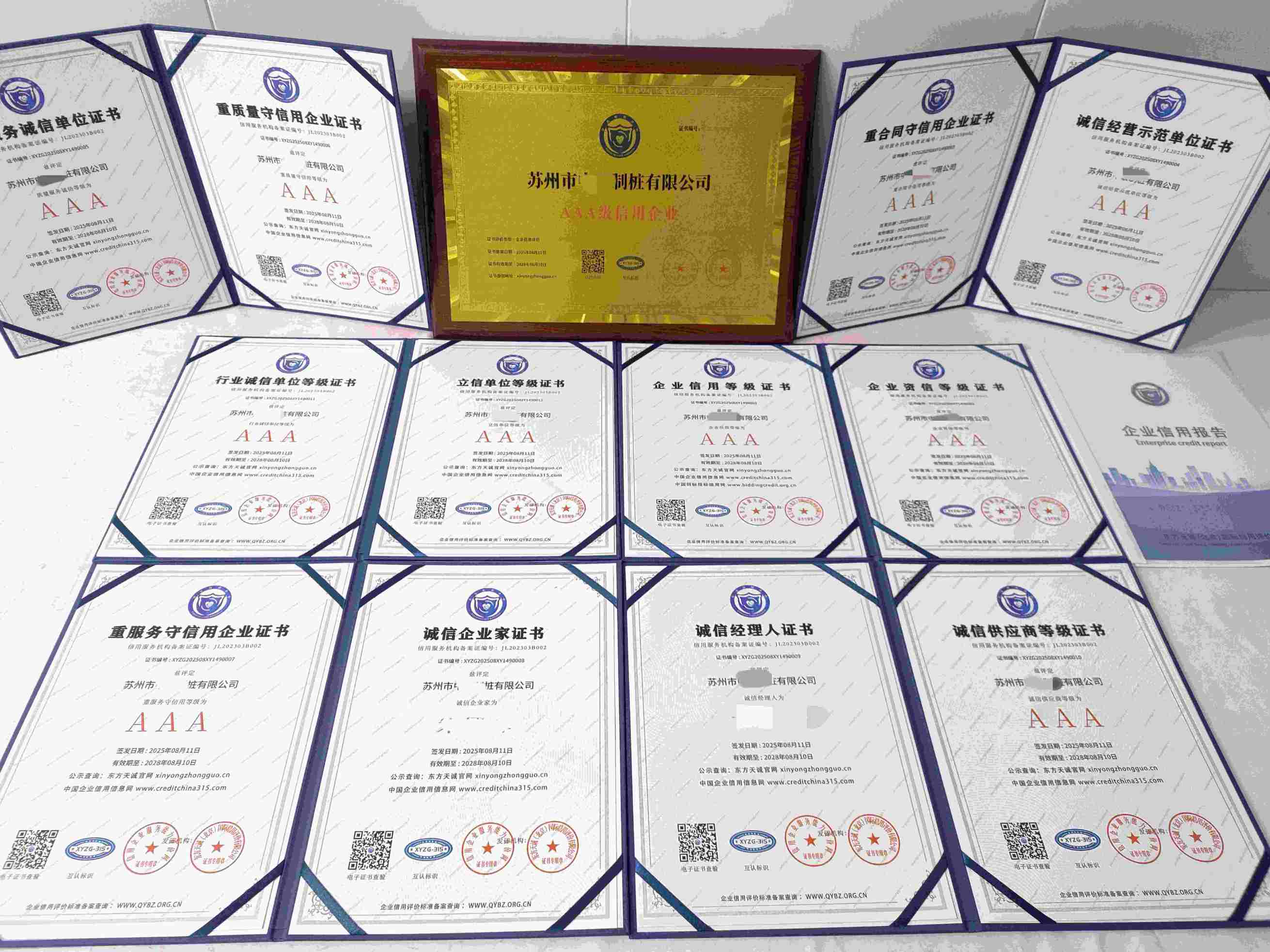 苏州市中联制桩有限公司.jpg