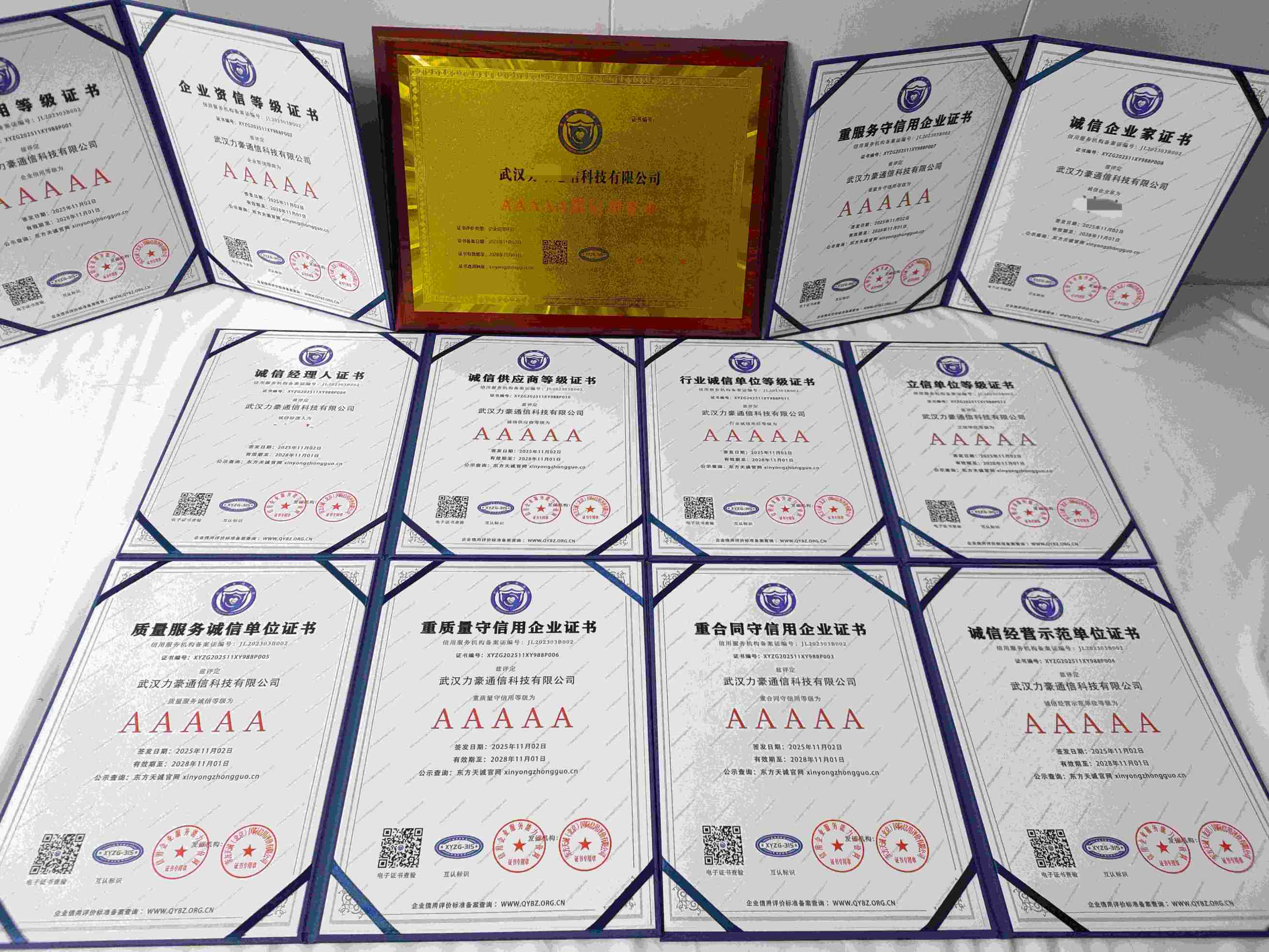 武汉力豪通信科技有限公司.jpg