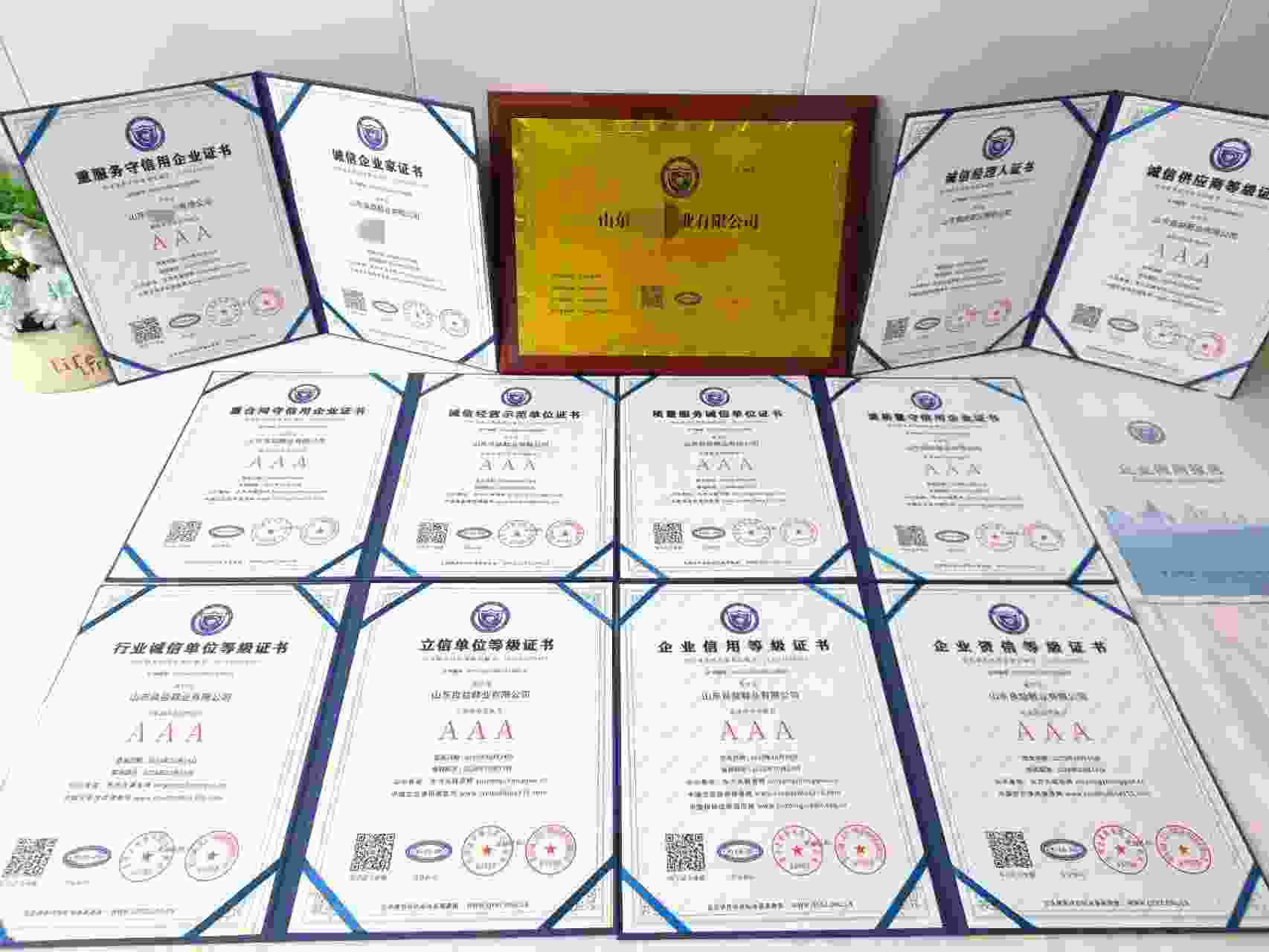山东良益鞋业有限公司.jpg