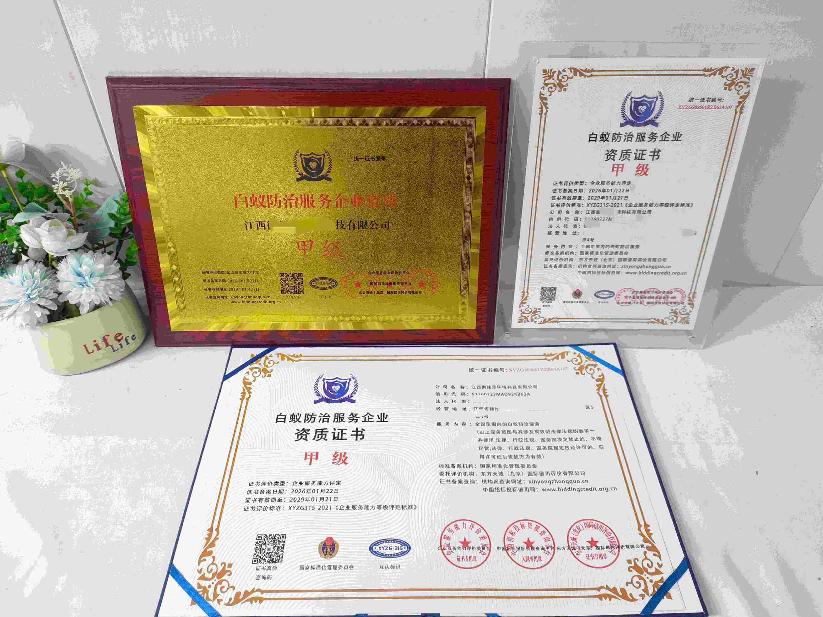 江西御伟莎环境科技有限公司-白蚁防治.jpg