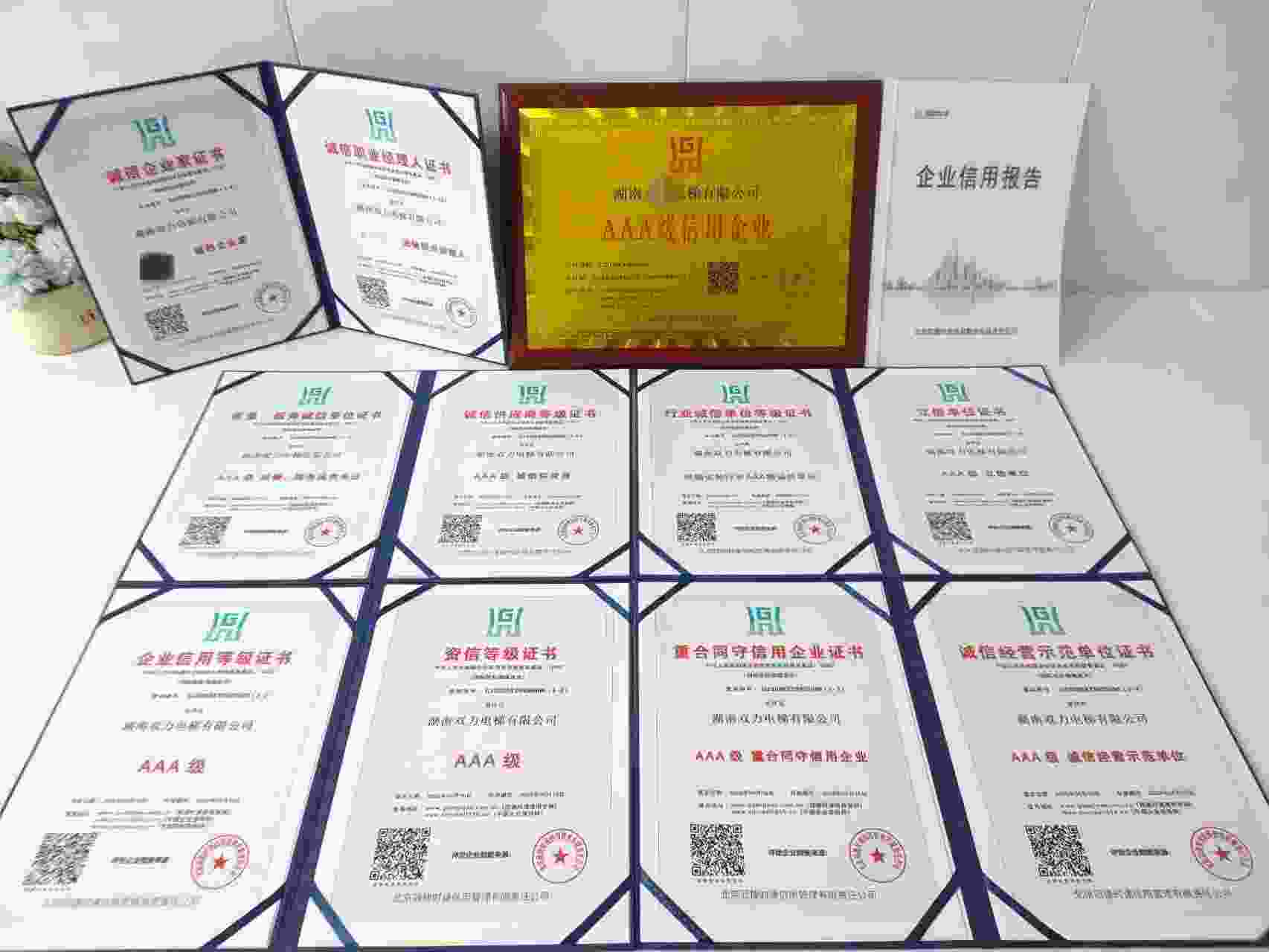 湖南双力电梯有限公司.jpg