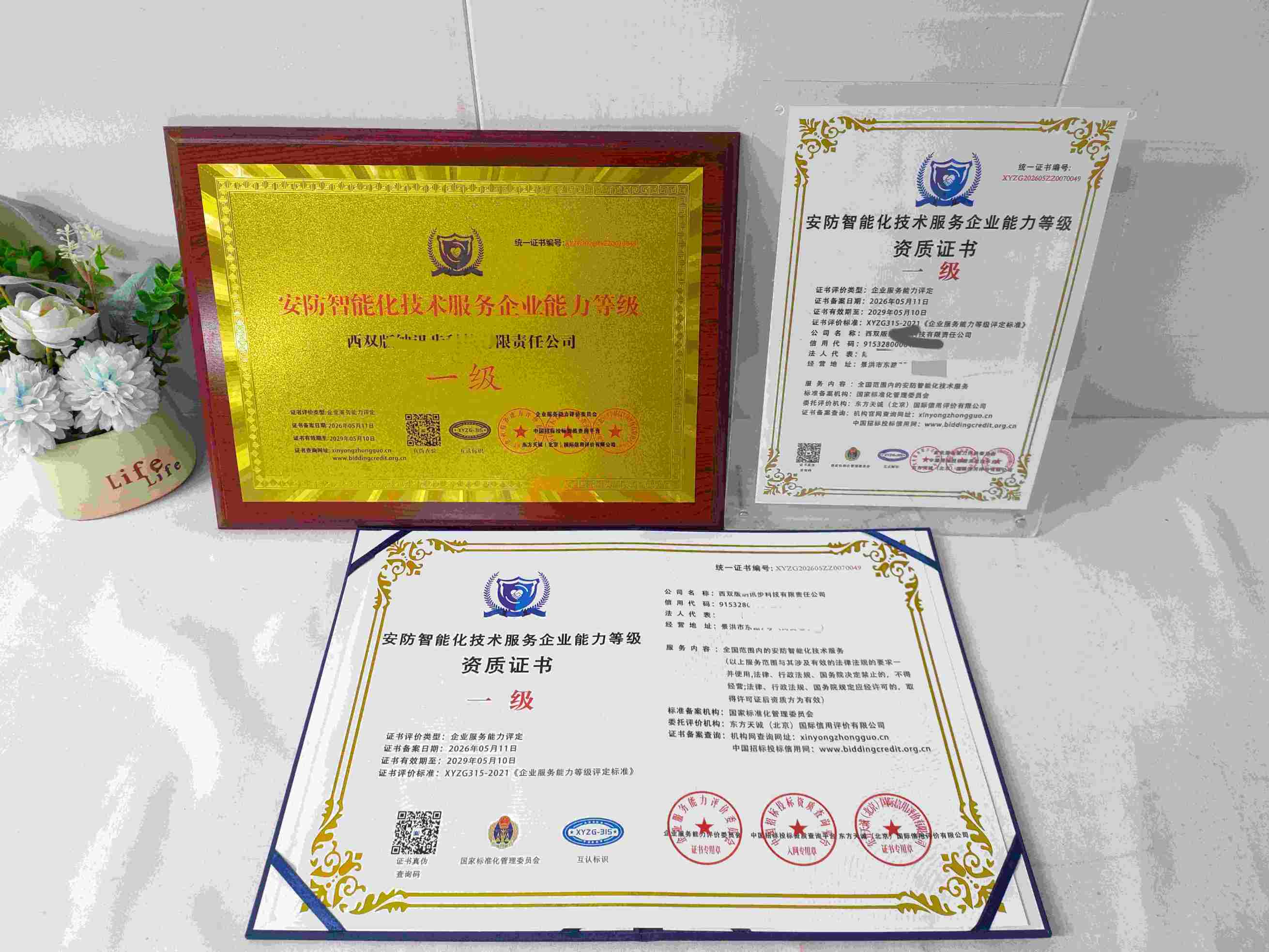 西双版纳讯步科技有限责任公司-安防智能化技术服务企业能力等级.jpg