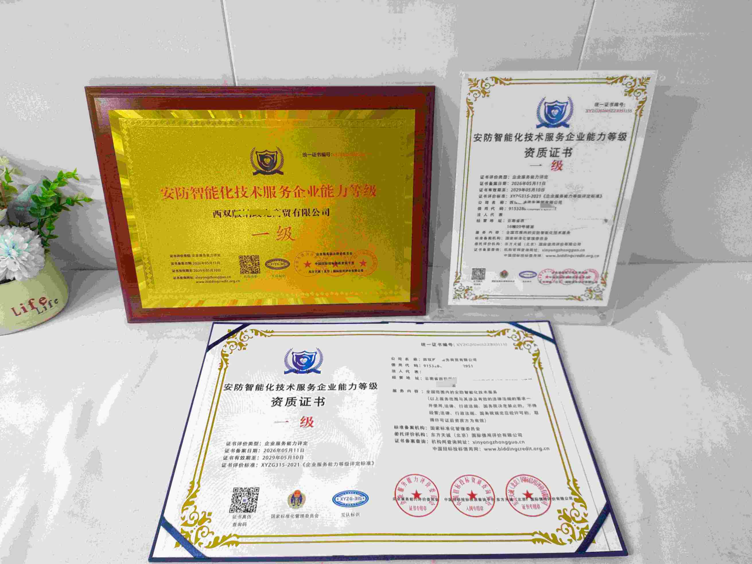 西双版纳政先商贸有限公司-安防智能化技术服务企业能力等级.jpg