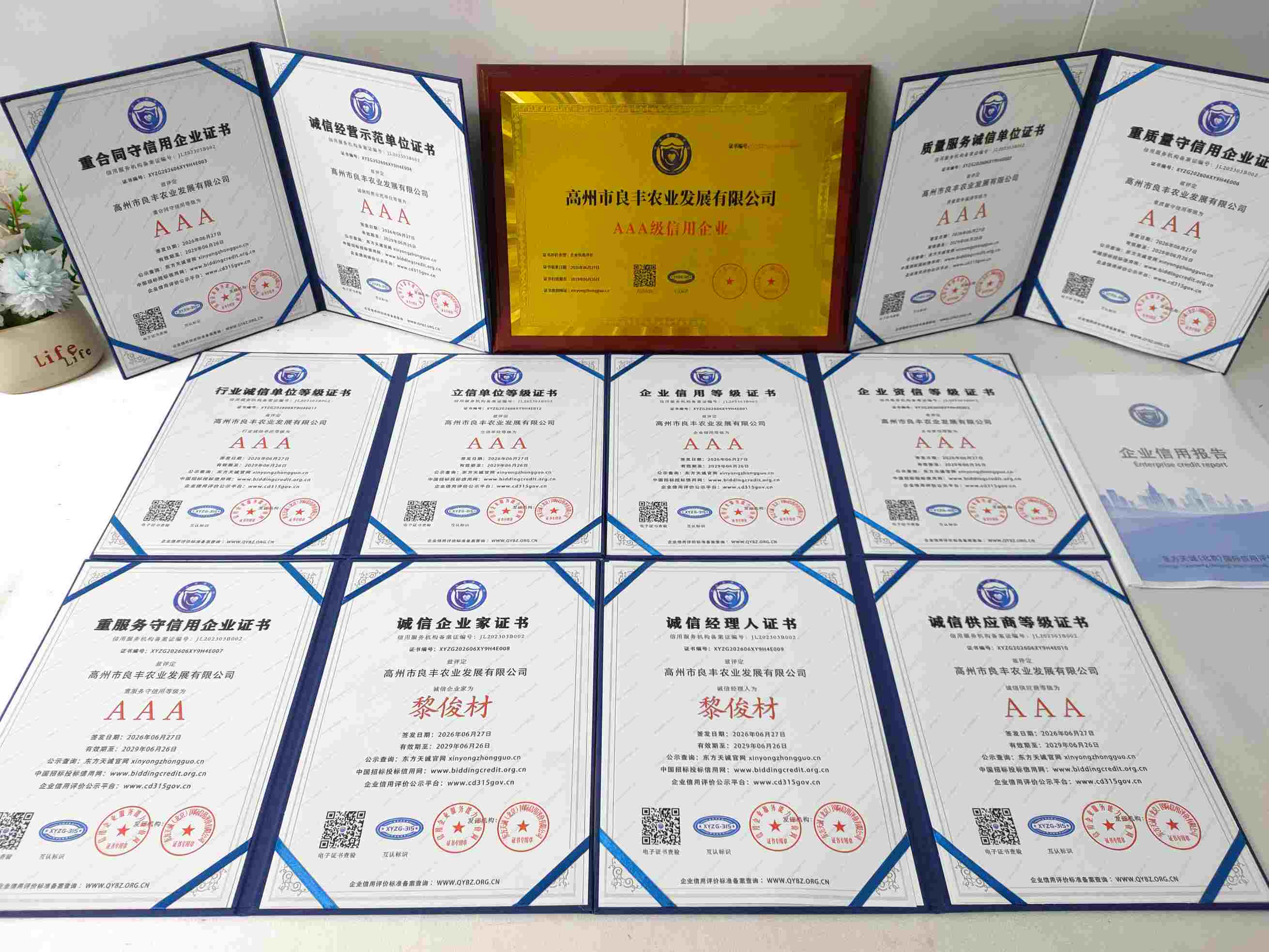 高州市良丰农业发展有限公司.jpg