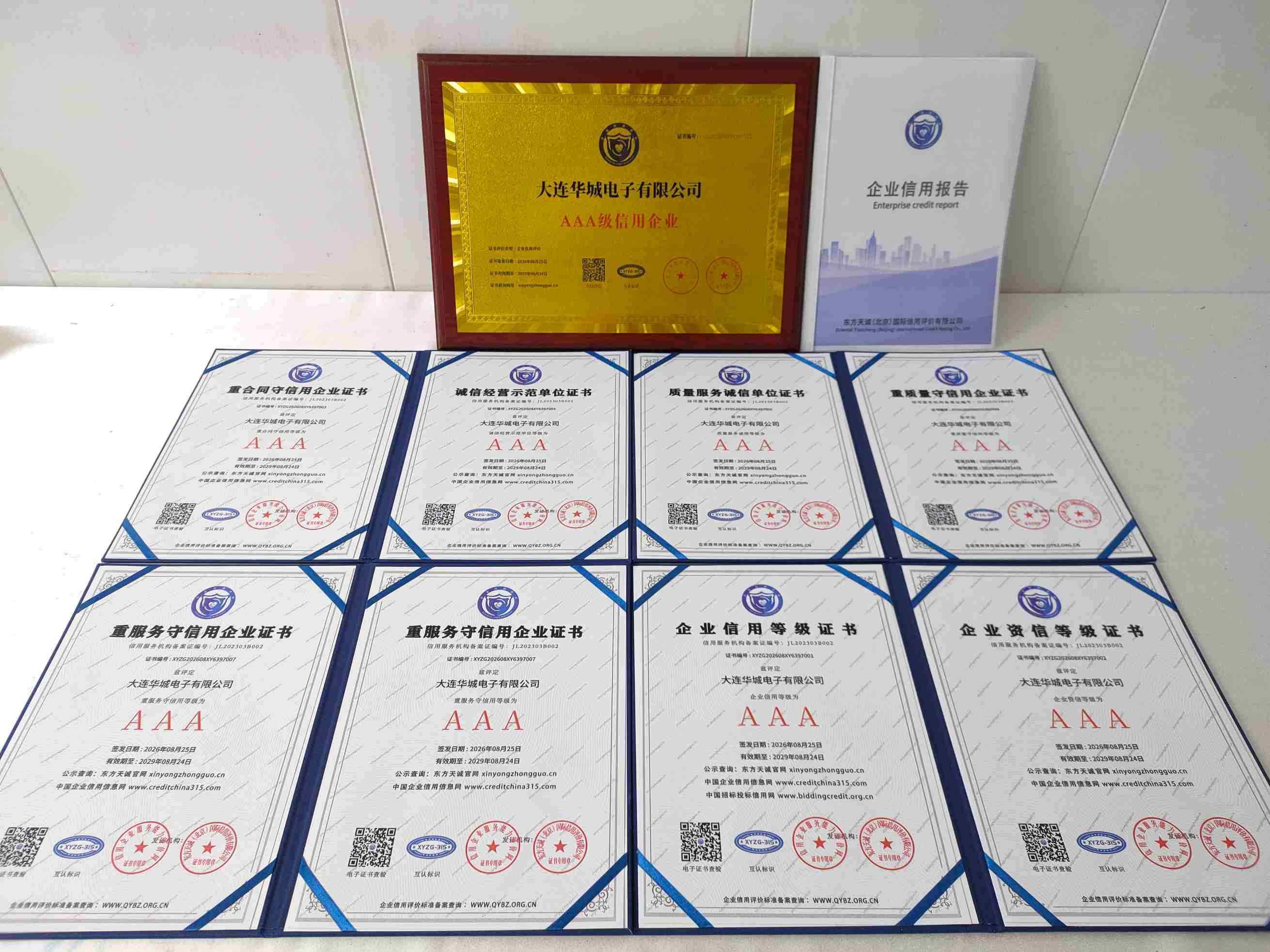 大连华城电子有限公司.jpg