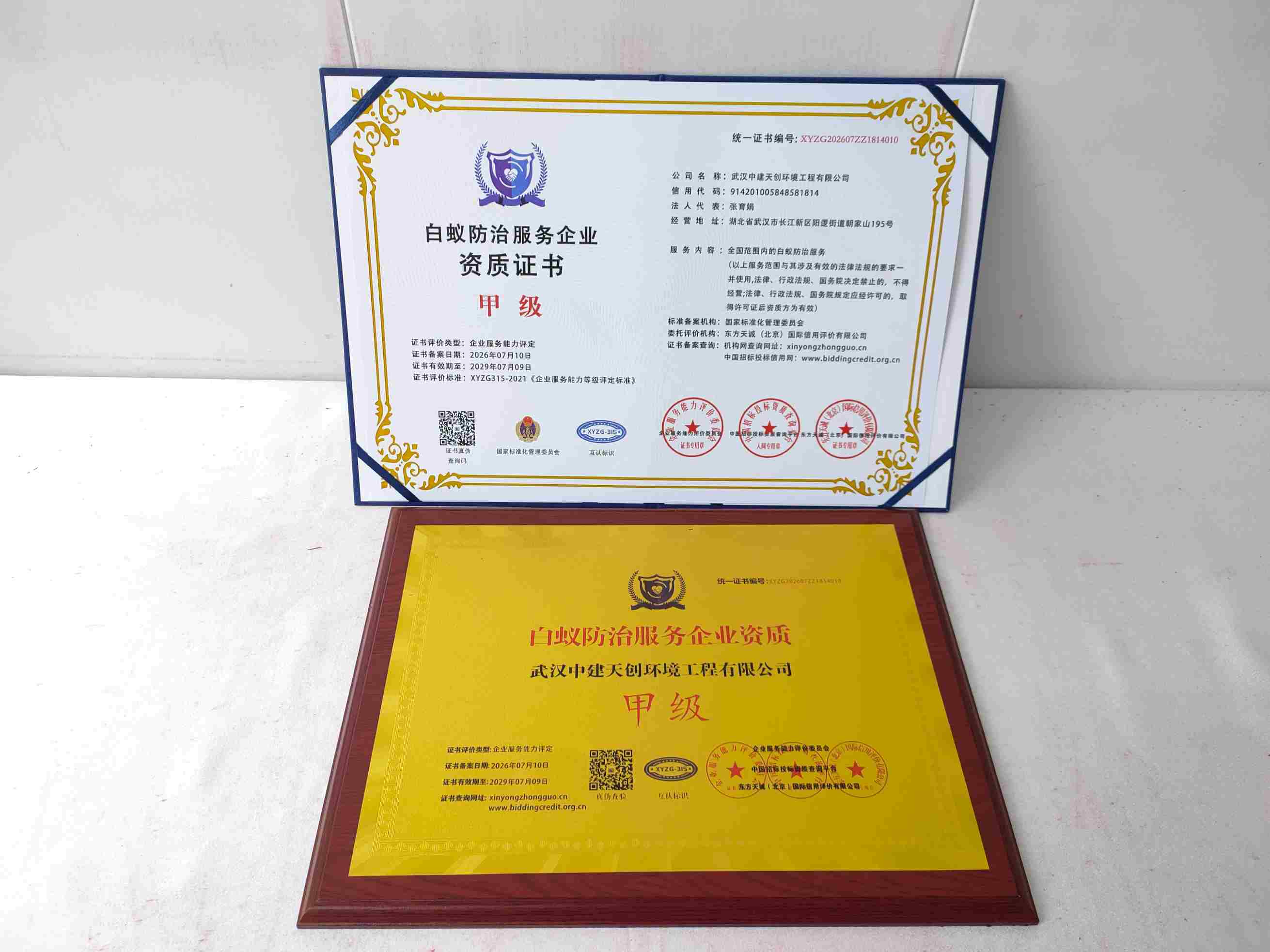 武汉中建天创环境工程有限公司-白蚁防治服务企业资质证书.jpg