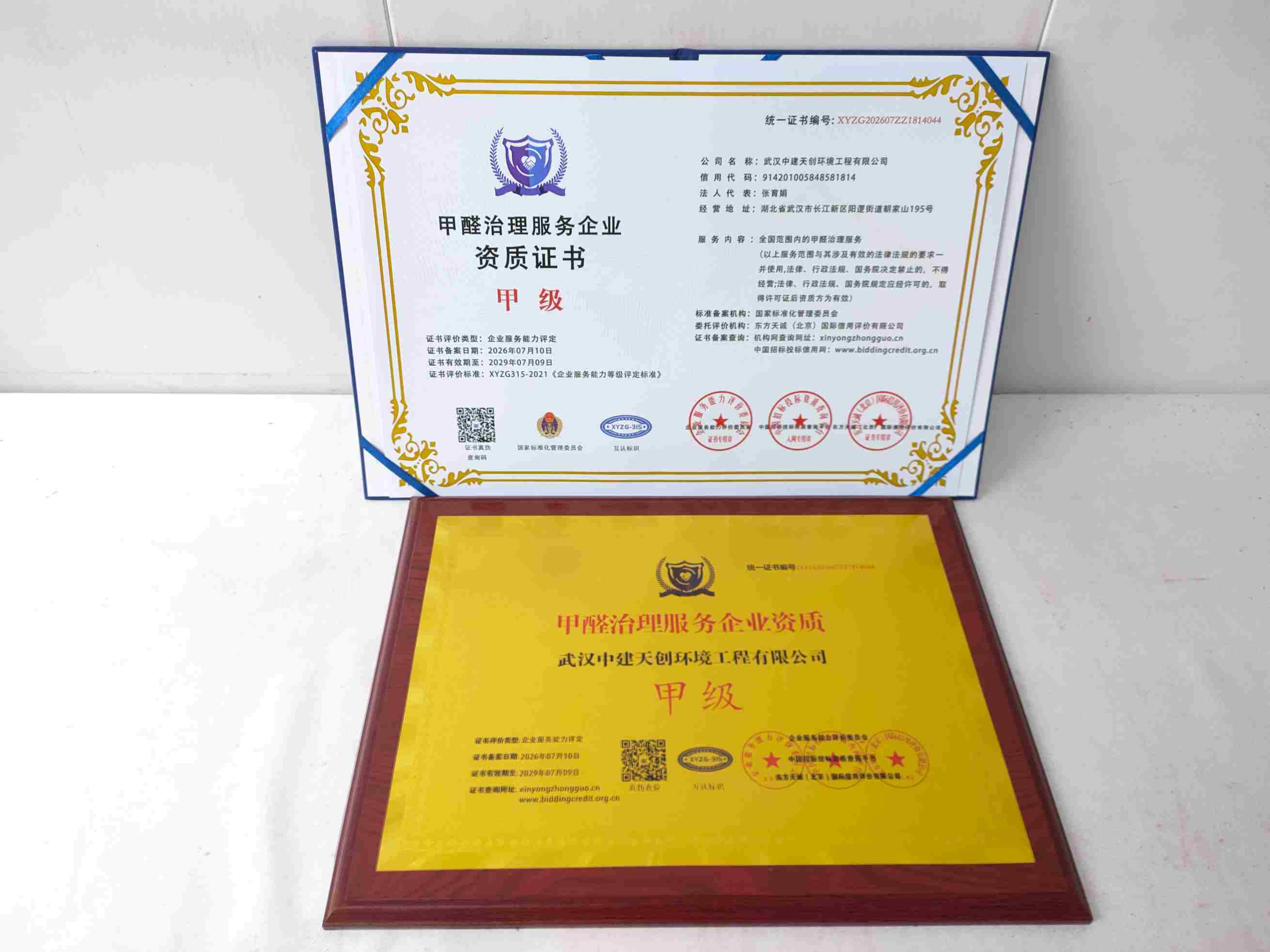 武汉中建天创环境工程有限公司-甲醛治理.jpg